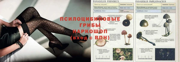 бошки Аркадак