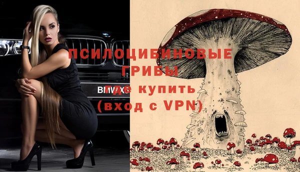 спайс Арсеньев