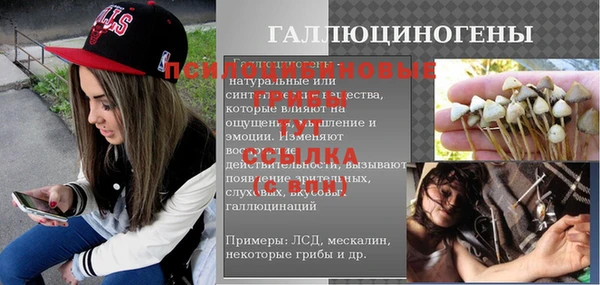 спайс Арсеньев