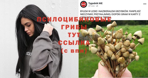 бошки Аркадак