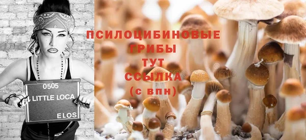 бошки Аркадак
