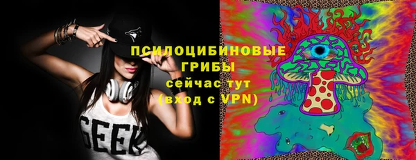 бошки Аркадак