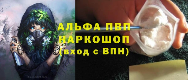 спайс Арсеньев