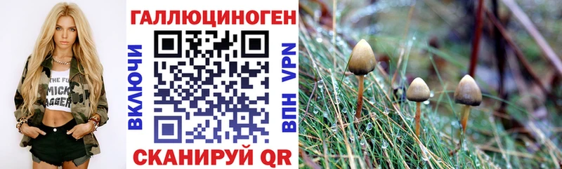 хочу наркоту  Куса  Псилоцибиновые грибы Magic Shrooms 